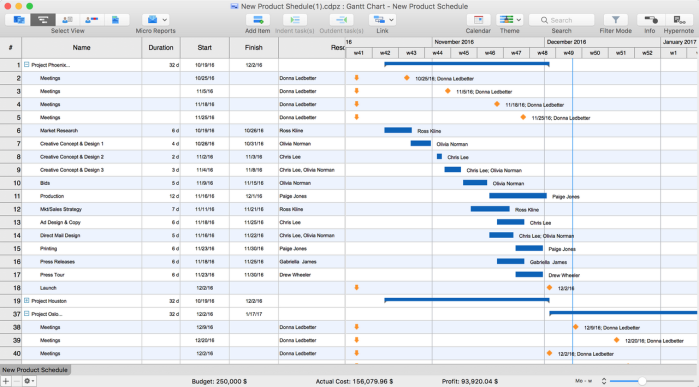conceptdraw-project-project-management-software_mac